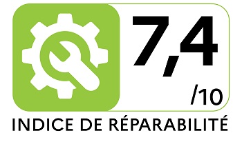 Robot 966 2025